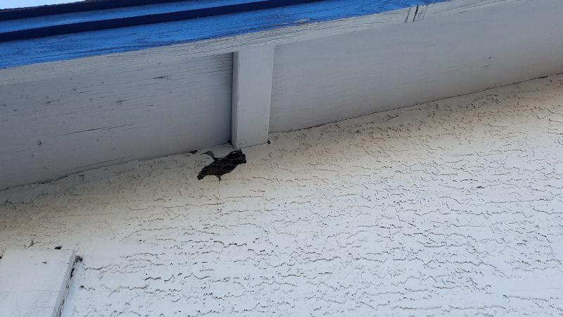 Synthetic Stucco Repair in Napa, CA